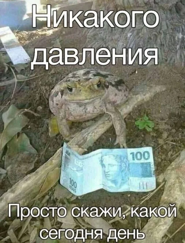 Смешные скрины из соцсетей #34