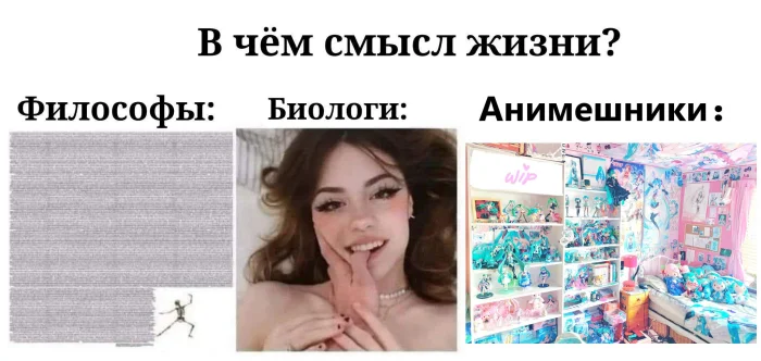 Ани-мемы