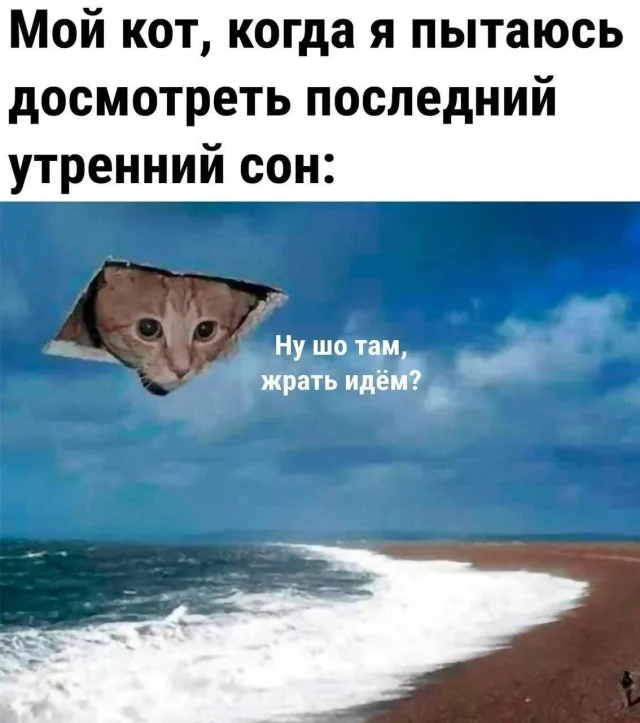Немного позитива