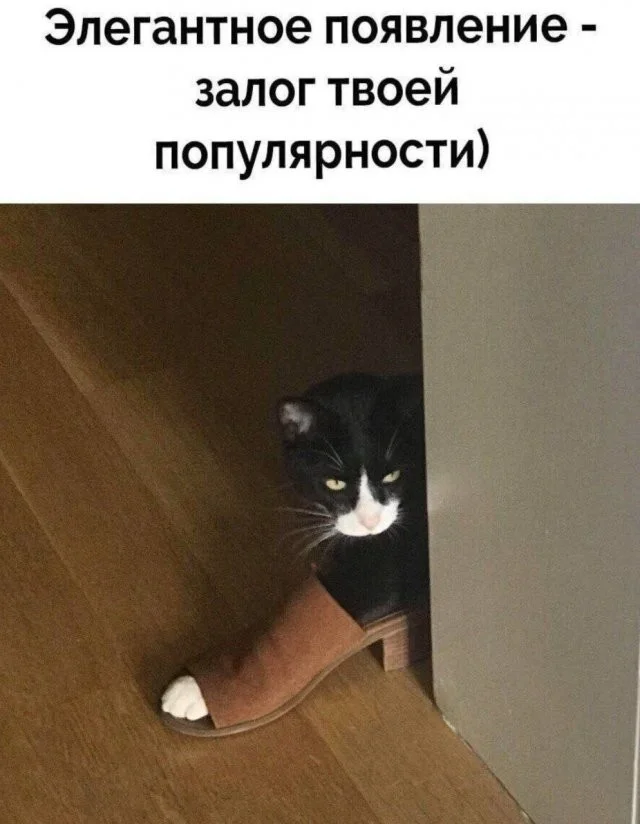Смешные скрины из соцсетей #47