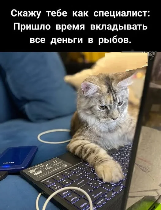 Картинки веселые и прекрасные