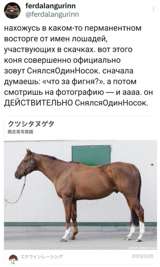 Смешные скрины из соцсетей #43
