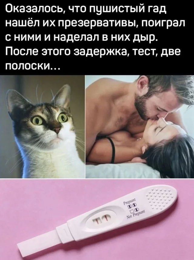 Смешные прикольчики