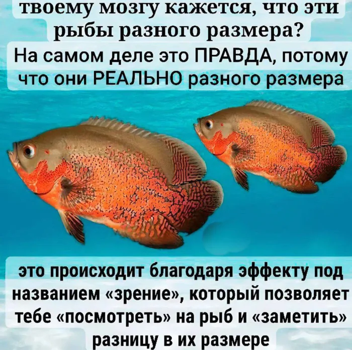 Нестандартный юмор #364