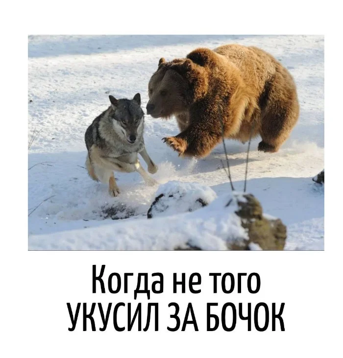 Игра слов #69