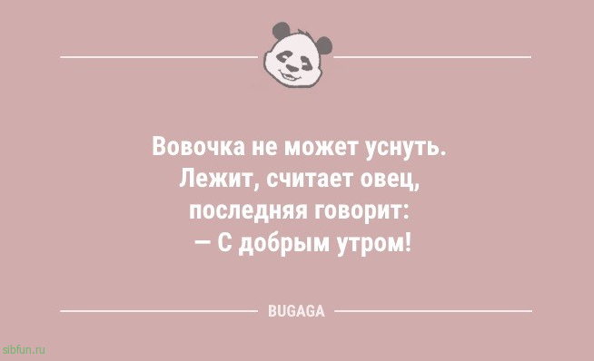 Анекдоты для предпятничного настроения: «Обходя разложенные грабли…» 