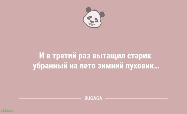 Анекдоты для улыбки: «Не понимаю, почему за такси нужно платить деньги…» 