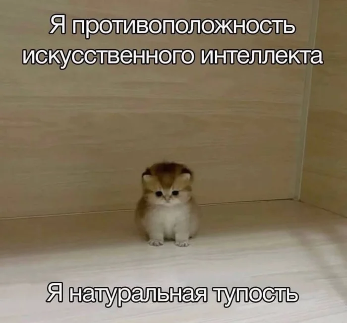 Нестандартный юмор #348