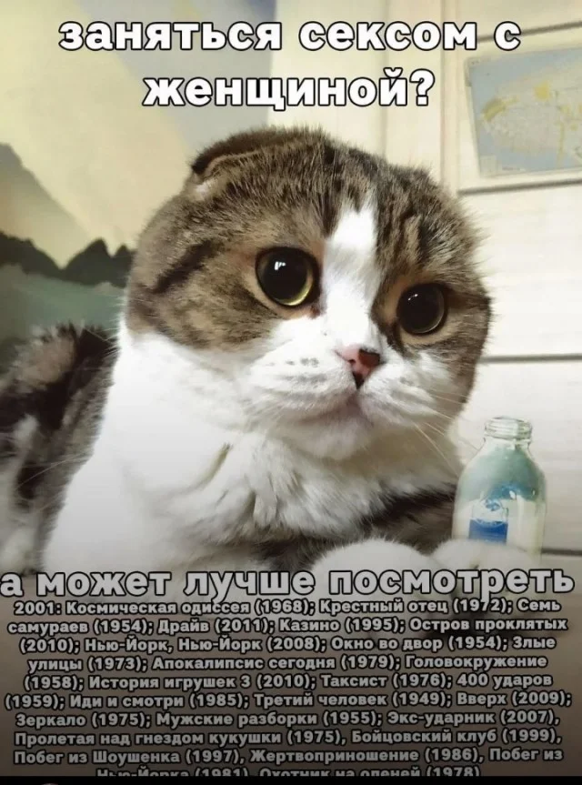 Баян за баяном