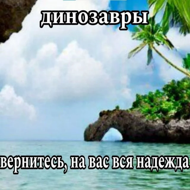 Смешные скрины из соцсетей #46
