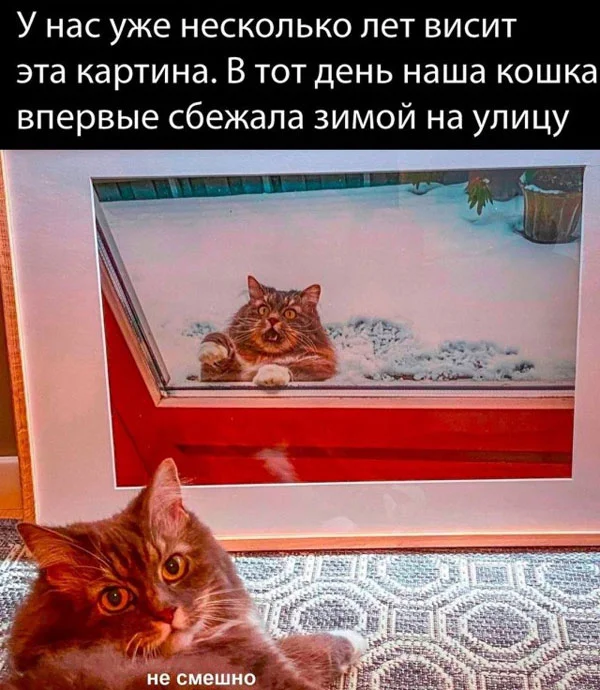 Мало кто знает, но баяны продлевают жизнь!