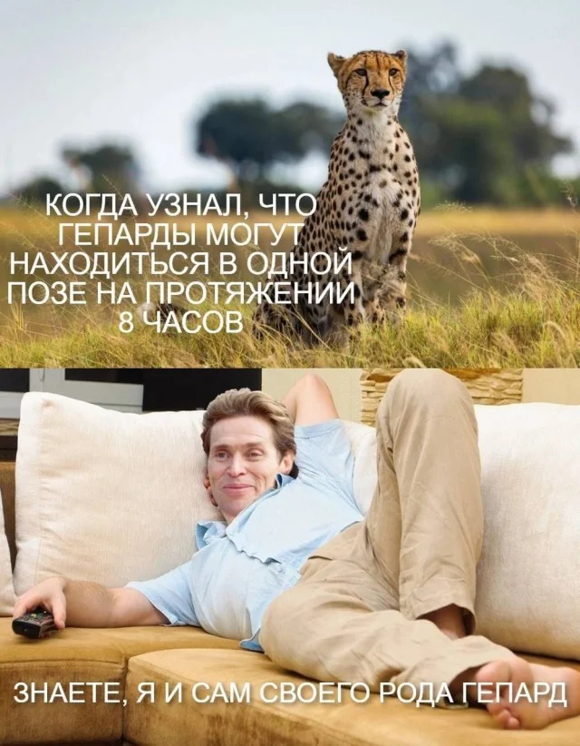 Картинки для настроения