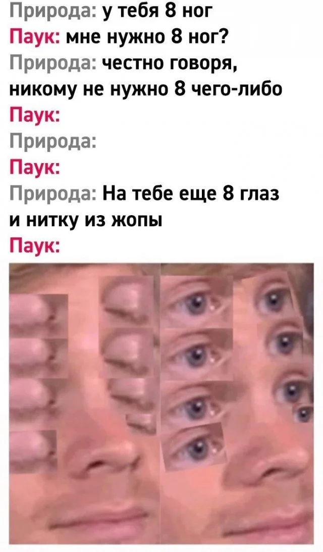 Коллекция баянов