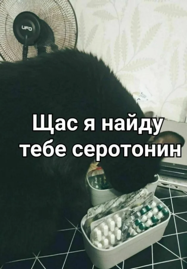 Смешные скрины из соцсетей #35