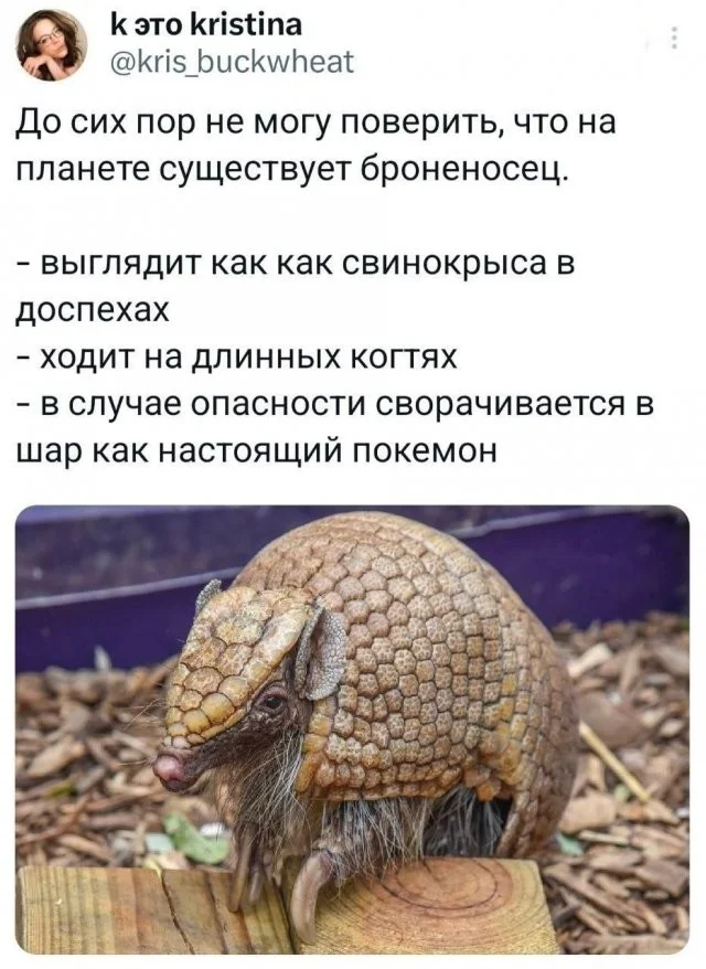 Смешные скрины из соцсетей #43