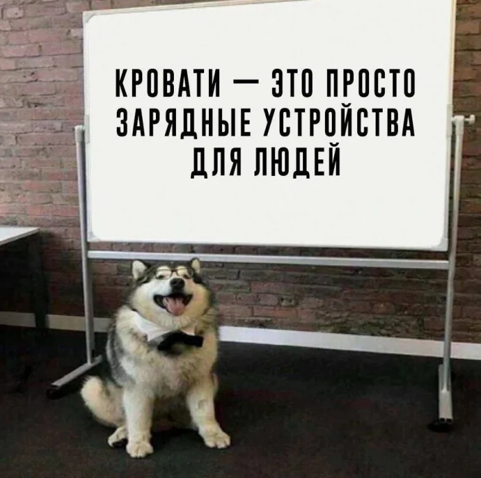 Нестандартный юмор #345
