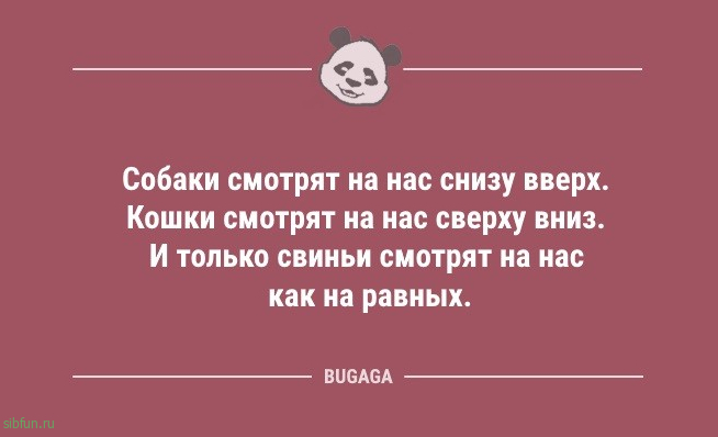 Анекдоты и шутки: «Какую музыку слушаешь?» 