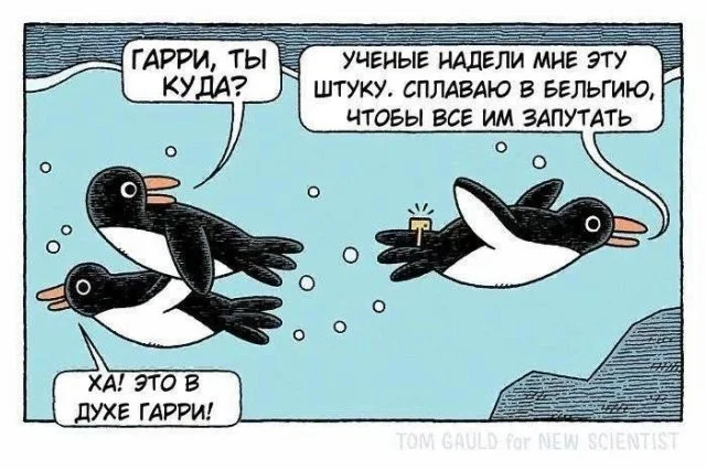 Смешные скрины из соцсетей #33