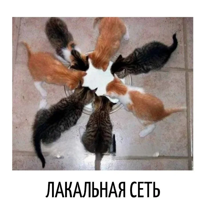 Игра слов #73