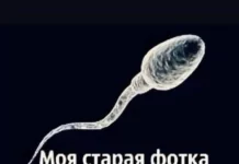 Нестандартный юмор #345