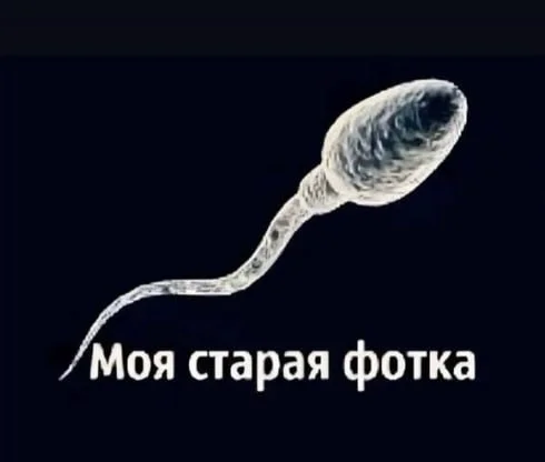 Нестандартный юмор #345