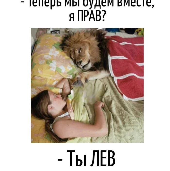 Игра слов #69