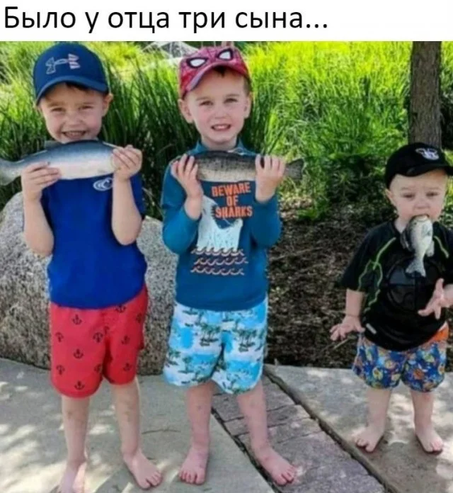 Коллекция баянов