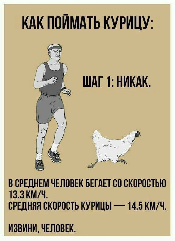 Смешные скрины из соцсетей #33