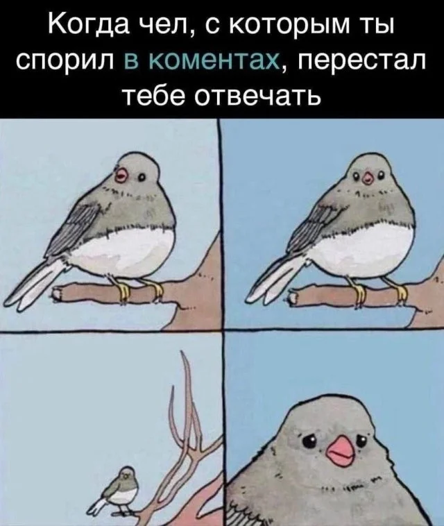 Смешные скрины из соцсетей #41