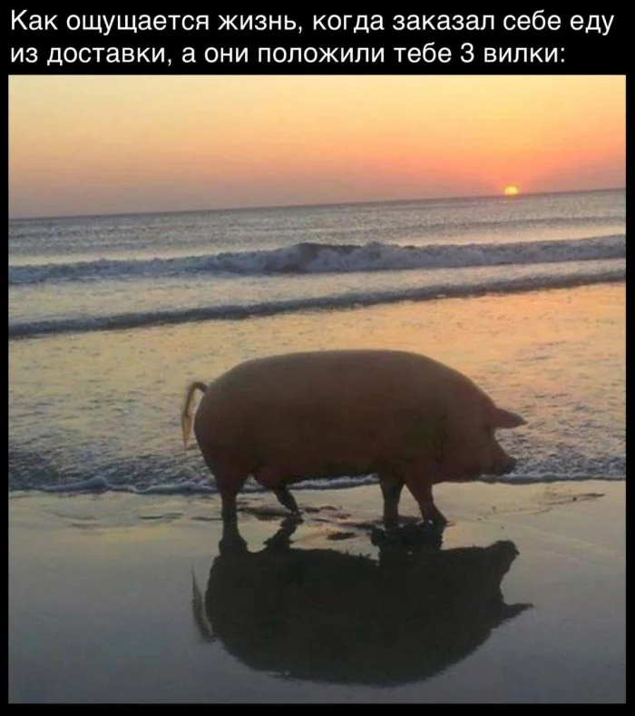 Нестандартный юмор #358