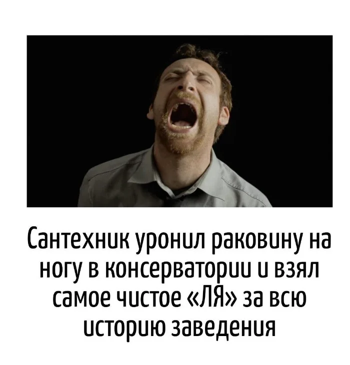 Игра слов #71