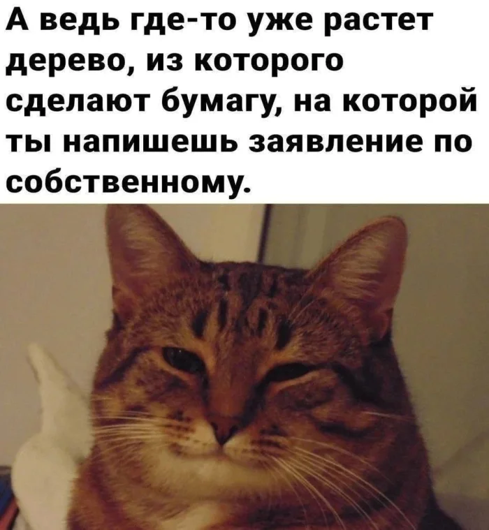 Нестандартный юмор #372