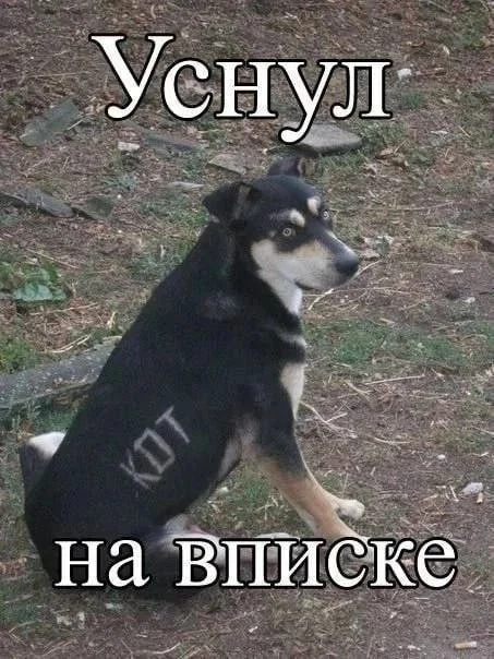 Картинки для настроения