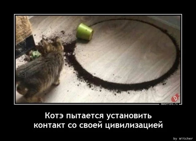 Демотиваторы-приколы