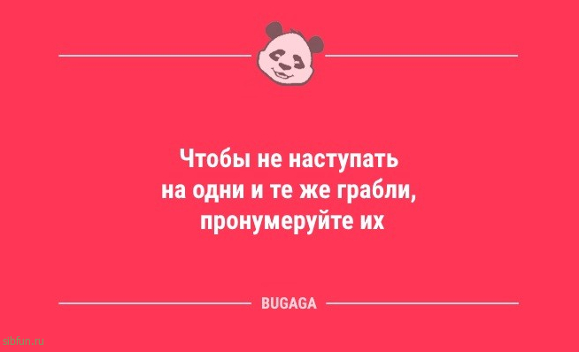 Анекдоты в середине недели: «Чтобы не наступать на одни и те же грабли…» 