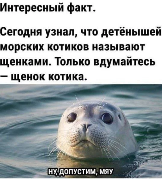 Смешные скрины из соцсетей #42