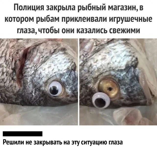 Легко и свежо: Прикольные картинки