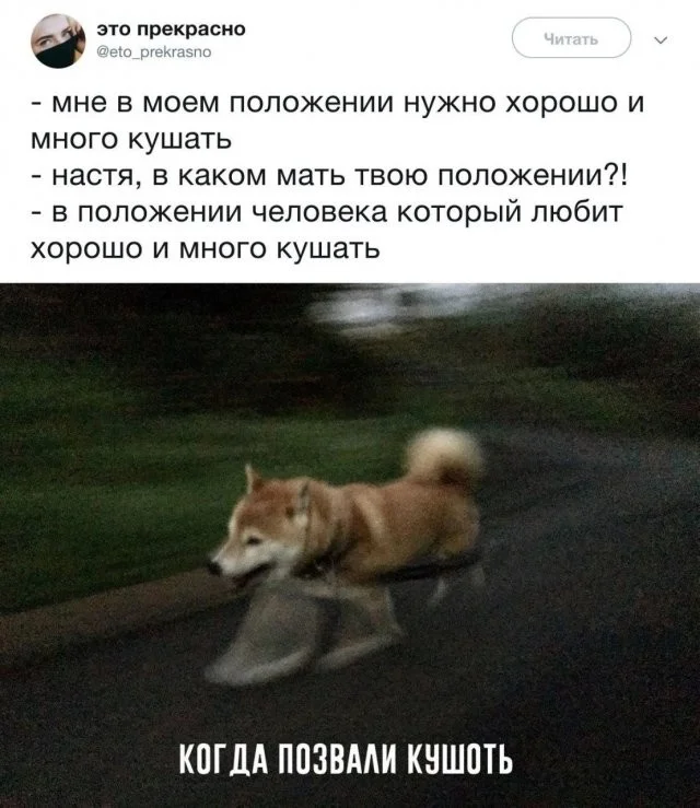 Смешные скрины из соцсетей #37