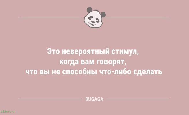 Анекдоты для предпятничного настроения: «Обходя разложенные грабли…» 