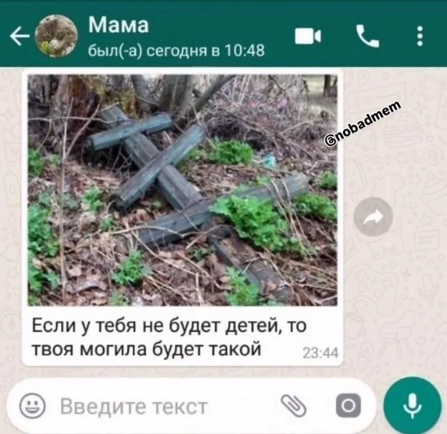 Смешные скрины из соцсетей #41