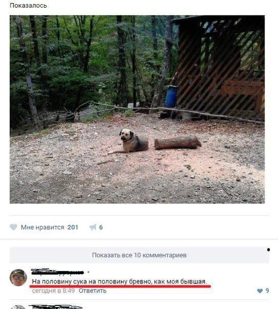 Нестандартный юмор #358