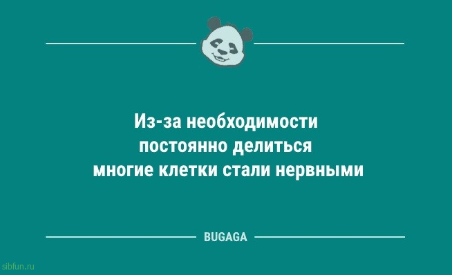 Анекдотов пост: «Расскажите немного о себе…» 