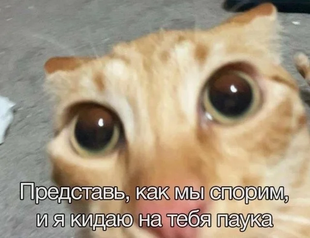 Смешные скрины из соцсетей #44