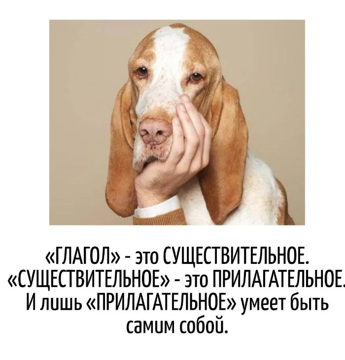 Игра слов #75
