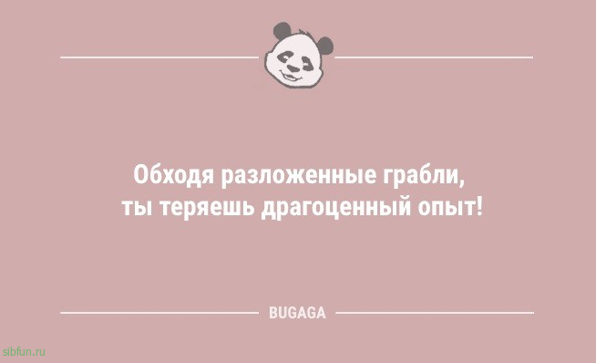 Анекдоты для предпятничного настроения: «Обходя разложенные грабли…» 