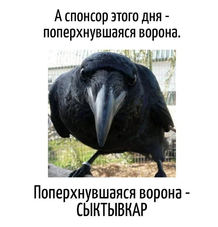 Игра слов #71