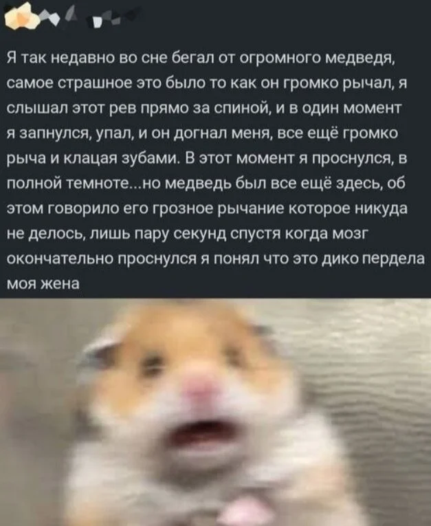 Коллекция баянов
