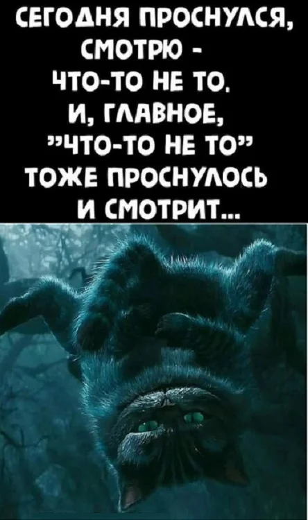 Картинки веселые и прекрасные