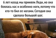 Легко и свежо: Прикольные картинки