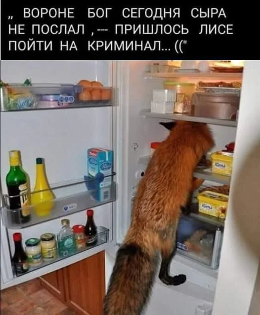 Картинки веселые и прекрасные